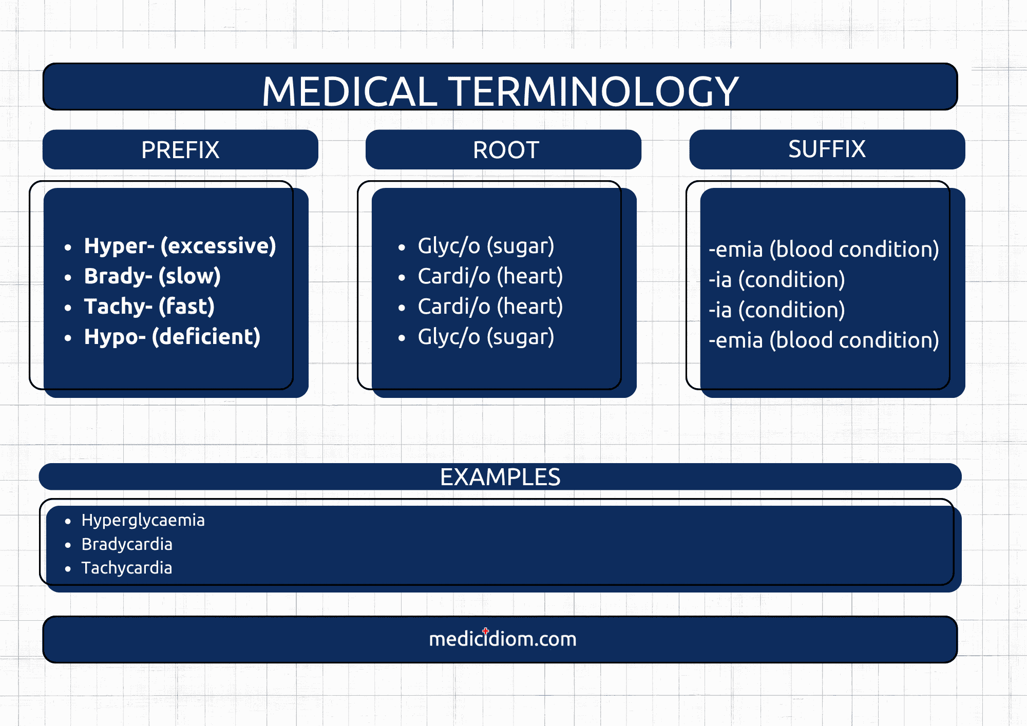 A simple three-column graphic showing prefix, root and suffix with example terms built step by step